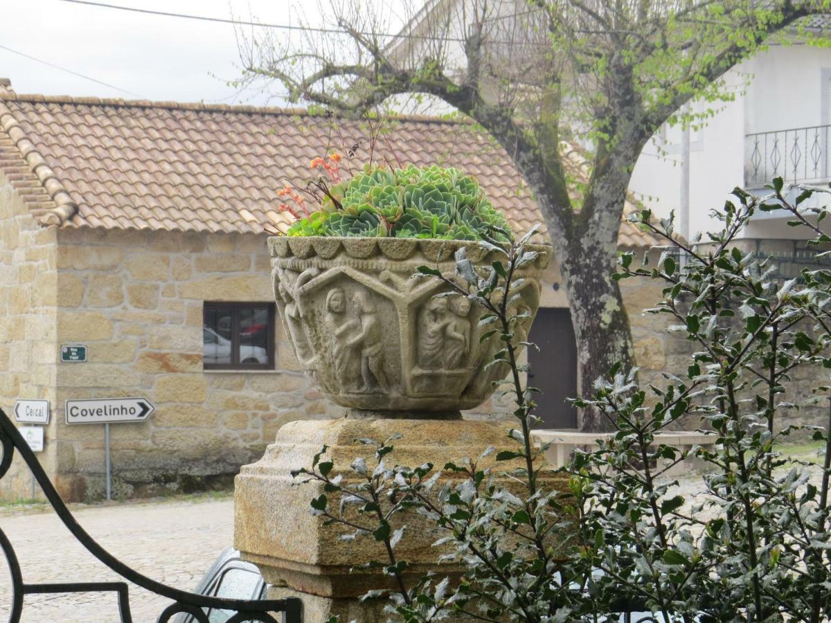 Casa Sao Joao Villa Sao Joao da Serra Ngoại thất bức ảnh